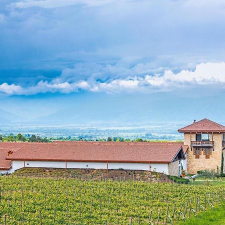 Chateau Mosmieri Hotel & Winery Telavi Exterior foto