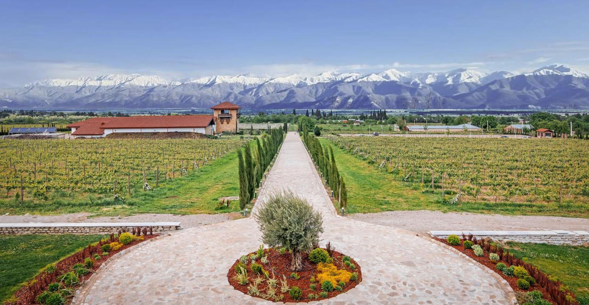 Chateau Mosmieri Hotel & Winery Telavi Exterior foto